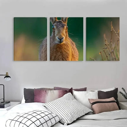 3pcs A Brown Hare In The Forest  Wall Art Set Canvas Framed 60x90cm - High Quality Print 100% Australian Made Wall Canvas Ready to Hang