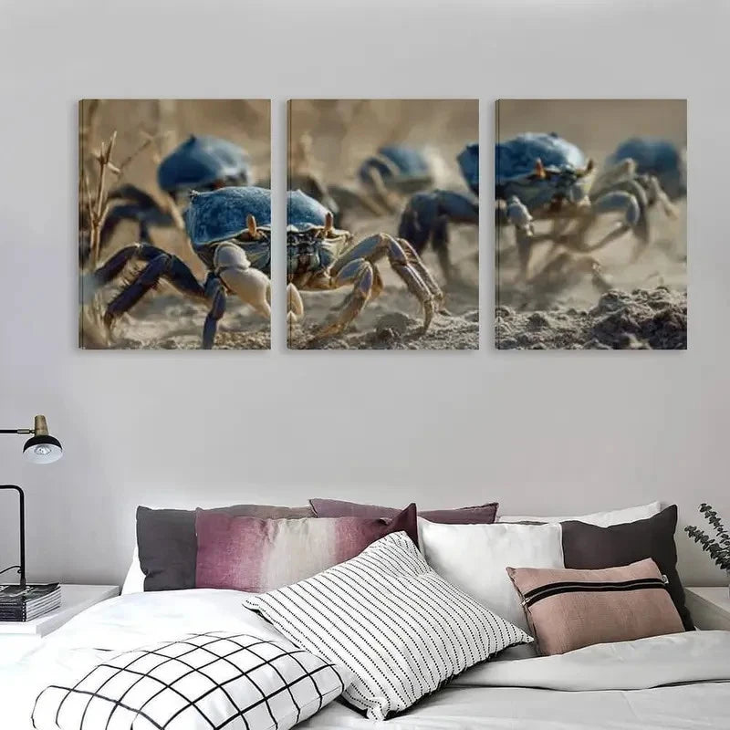 3pcs Group of Crabs Carrying Blue Shells   Wall Art Set Canvas Framed 60x90cm - High Quality Print 100% Australian Made Wall Canvas Ready to Hang