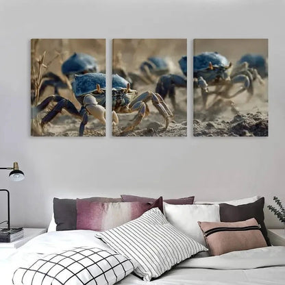 3pcs Group of Crabs Carrying Blue Shells   Wall Art Set Canvas Framed 60x90cm - High Quality Print 100% Australian Made Wall Canvas Ready to Hang
