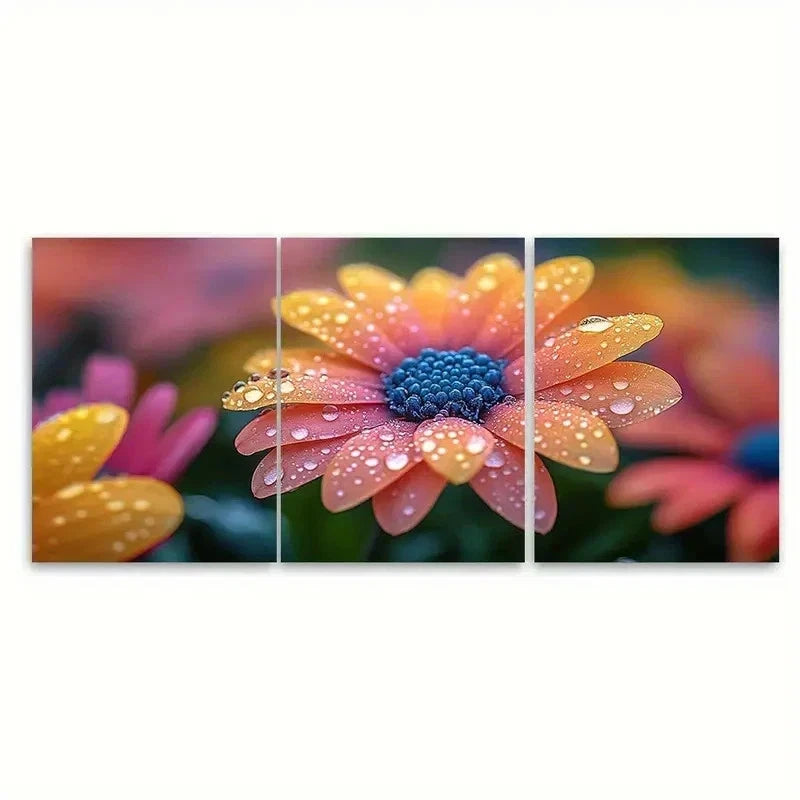3pcs Vibrant Floral Print Nature Photo TI Wall Art Set Canvas Framed 50x70cm - High Quality Print 100% Australian Made Wall Canvas Ready to Hang