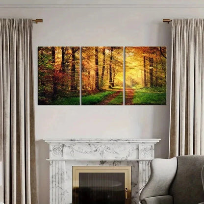 3pcs Forest Woods at Sunshine Natural Wall Art Set Canvas Framed 40x60cm - High Quality Print 100% Australian Made Wall Canvas Ready to Hang