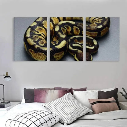 3pcs Intricate Scales Of A Ball Python Wall Art Set Canvas Framed 60x90cm - High Quality Print 100% Australian Made Wall Canvas Ready to Hang