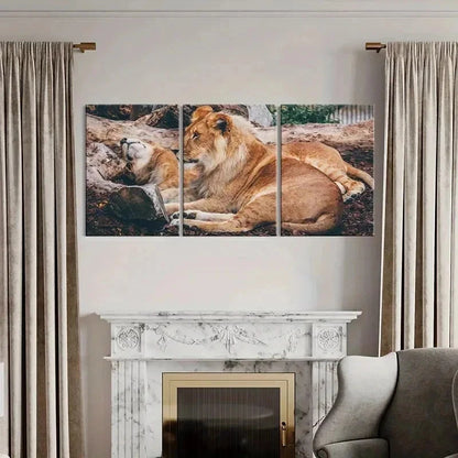 3pcs Lion Couple Animal Painting Wall Art Set Canvas Framed 40x60cm - High Quality Print 100% Australian Made Wall Canvas Ready to Hang