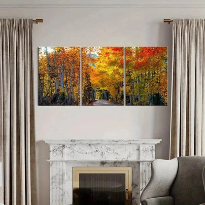 3pcs Autumn Nature Landscape Golden Birch Tree Wall Art Set Canvas Framed 40x60cm - High Quality Print 100% Australian Made Wall Canvas Ready to Hang