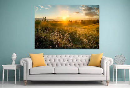Blooming Wild High Grass Wall Art Decor 100% Australian Made