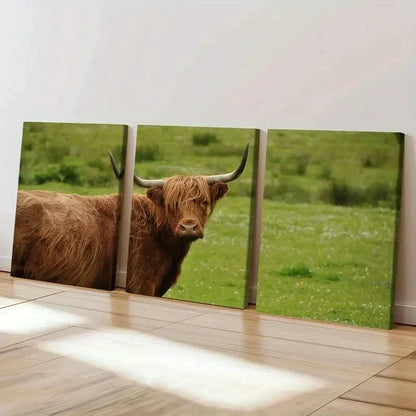 3pcs Highland Cattle Animal Portrait Wall Art Set Canvas Framed 40x60cm - High Quality Print 100% Australian Made Wall Canvas Ready to Hang