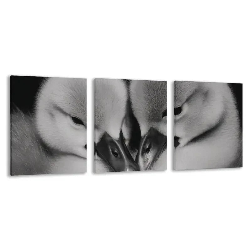 3pcs Black and White Swan Cygnets Cuddling Wall Art Set Canvas Framed 40x60cm - High Quality Print 100% Australian Made Wall Canvas Ready to Hang