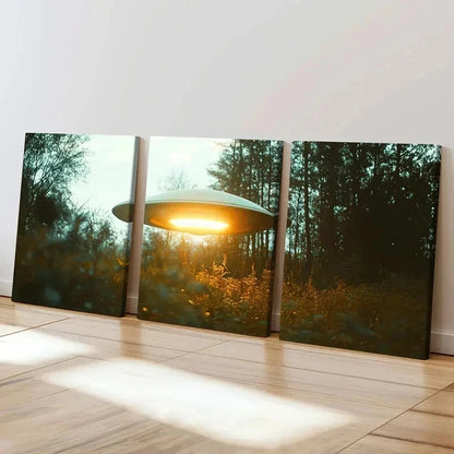 3pcs Ufos In The Mountains And Forests Wall Art Set Canvas Framed 40x60cm - High Quality Print 100% Australian Made Wall Canvas Ready to Hang