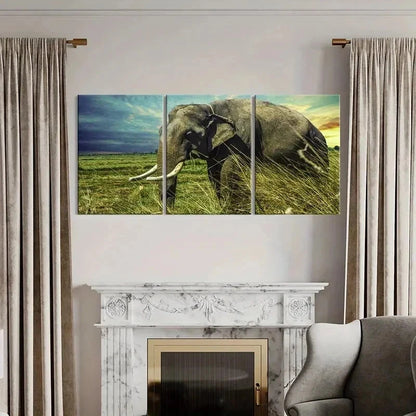 3pcs African Savanna Elephant Portrait Wall Art Set Canvas Framed 40x60cm - High Quality Print 100% Australian Made Wall Canvas Ready to Hang