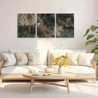 3pcs A Puffin is Sitting on the Edge of its Nest Wall Art Set Canvas Framed 40x60cm - High Quality Print 100% Australian Made Wall Canvas Ready to Hang