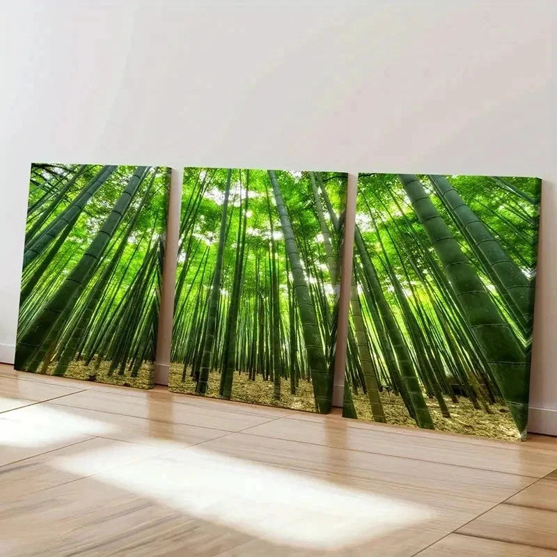3pcs Green Bamboo Forest Natural Landscape Wall Art Set Canvas Framed 40x60cm - High Quality Print 100% Australian Made Wall Canvas Ready to Hang