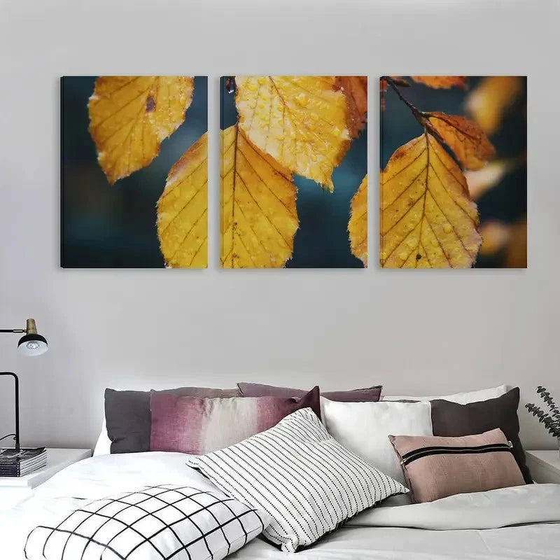 3pcs Beech Tree Yellow Leaves in Autumn Wall Art Set Canvas Framed 50x70cm - High Quality Print 100% Australian Made Wall Canvas Ready to Hang