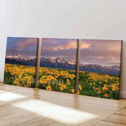 3pcs Flower Fields Mountains Sunset Modern Wall Art Set Canvas Framed 40x60cm - High Quality Print 100% Australian Made Wall Canvas Ready to Hang