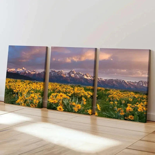 3pcs Flower Fields Mountains Sunset Modern Wall Art Set Canvas Framed 40x60cm - High Quality Print 100% Australian Made Wall Canvas Ready to Hang