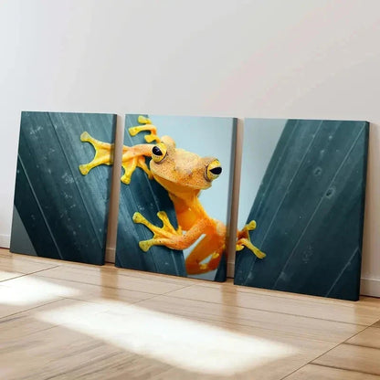 3pcs Yellow Tree Frog on Green Tree Wall Art Set Canvas Framed 40x60cm - High Quality Print 100% Australian Made Wall Canvas Ready to Hang