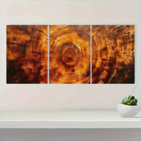 3pcs Wood Tree Ring Grain Design Wall Art Canvas Unframed - High Quality Print 100% Australian Made Wall Canvas