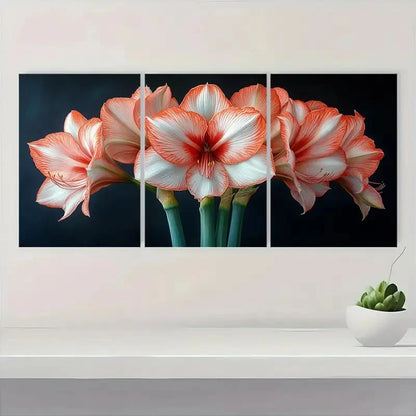 3pcs Amaryllis Flower Red & White Floral  Z    Wall Art Set Canvas Framed 40x60cm - High Quality Print 100% Australian Made Wall Canvas Ready to Hang