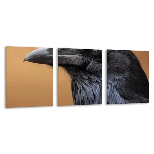 3pcs Black Raven Artwork Decoration  Wall Art Set Canvas Framed 60x90cm - High Quality Print 100% Australian Made Wall Canvas Ready to Hang