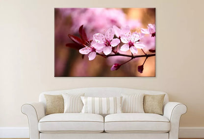 Peach Tree Branch With Blossom Wall Art Decor 100% Australian Made