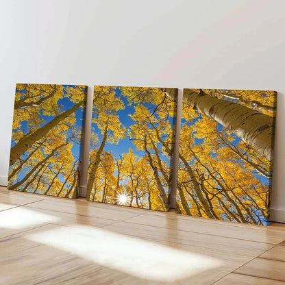 3pcs Autumn Golden Birch Forest Landscape Wall Art Set Canvas Framed 40x60cm - High Quality Print 100% Australian Made Wall Canvas Ready to Hang