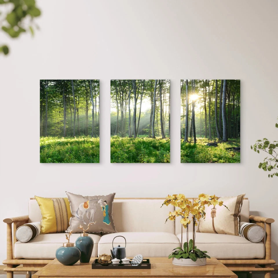 3pcs Golden Sunbeams Pierce Through Forest Tree Wall Art Set Canvas Framed 50x70cm - High Quality Print 100% Australian Made Wall Canvas Ready to Hang