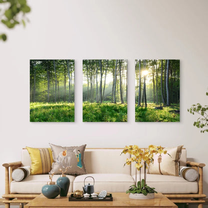3pcs Golden Sunbeams Pierce Through Forest Tree Wall Art Set Canvas Framed 50x70cm - High Quality Print 100% Australian Made Wall Canvas Ready to Hang