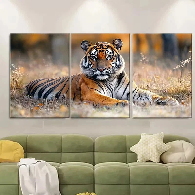 3pcs Resting in Tiger Reserve National Park Wall Art Set Canvas Framed 50x70cm - High Quality Print 100% Australian Made Wall Canvas Ready to Hang