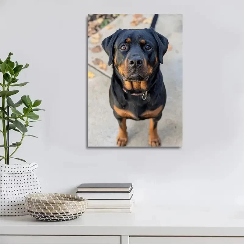 Beautiful Rottweiler Suitable Painting 40x60cm Metal Print Ready to Hang