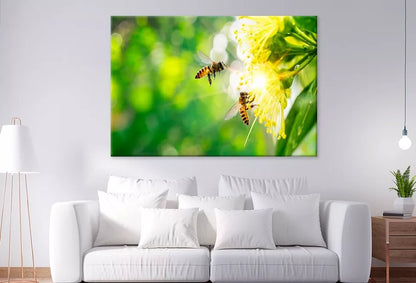 Bee Collecting Pollen In Flower Wall Art Decor 100% Australian Made