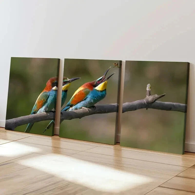 3pcs Bird On A Branch Animal Painting Wall Art Set Canvas Framed 40x60cm - High Quality Print 100% Australian Made Wall Canvas Ready to Hang