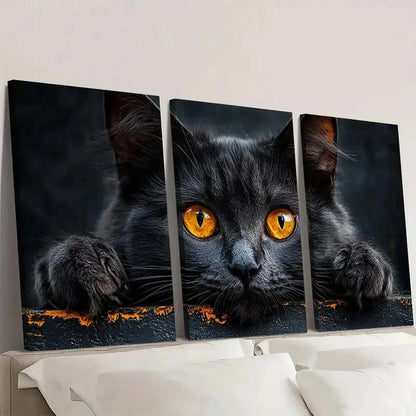 3pcs Black Cat Vibrant Orange Eyes Wall Art Set Canvas Framed 40x60cm - High Quality Print 100% Australian Made Wall Canvas Ready to Hang