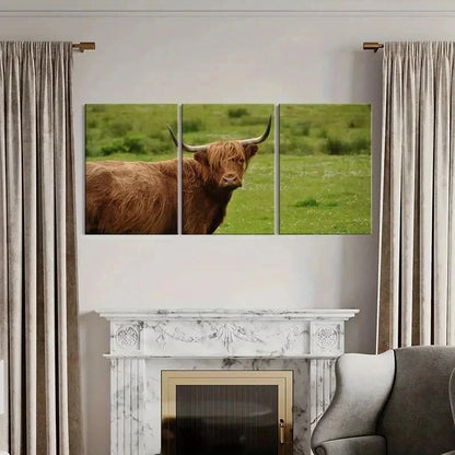 3pcs Highland Cattle Animal Portrait Wall Art Set Canvas Framed 40x60cm - High Quality Print 100% Australian Made Wall Canvas Ready to Hang