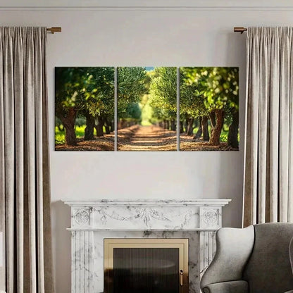 3pcs Serene Pathway Lush Greenery Warm Sunlight  Wall Art Set Canvas Framed 40x60cm - High Quality Print 100% Australian Made Wall Canvas Ready to Hang