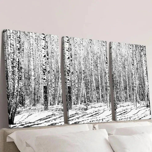 3pcs Black and White Birch Winter Forest Wall Art Canvas Unframed – High Quality Print 100% Australian Made Wall Canvas
