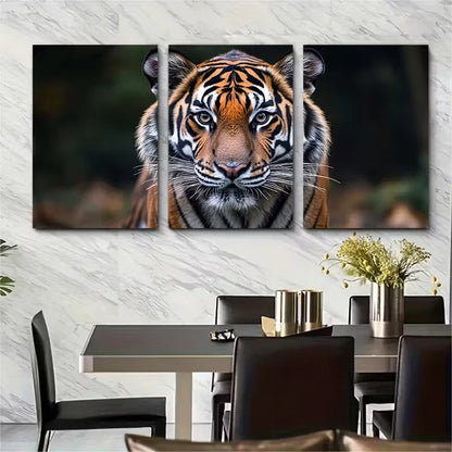 3pcs Wild Tiger Close Up Wildlife Photography Metal Print Ready to Hang Art