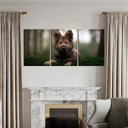 3pcs Brownish Dog Puppy Sitting on Grass Wall Art Set Canvas Framed 40x60cm - High Quality Print 100% Australian Made Wall Canvas Ready to Hang