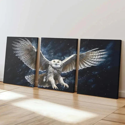 3pcs Owl with Open Wings Decoration Wall Art Set Canvas Framed 40x60cm - High Quality Print 100% Australian Made Wall Canvas Ready to Hang