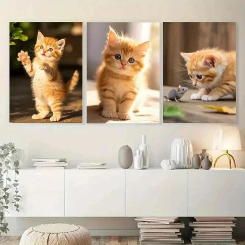 3pcs Adorable Kitten Wall Art Canvas Unframed - High Quality Print 100% Australian Made Wall Canvas