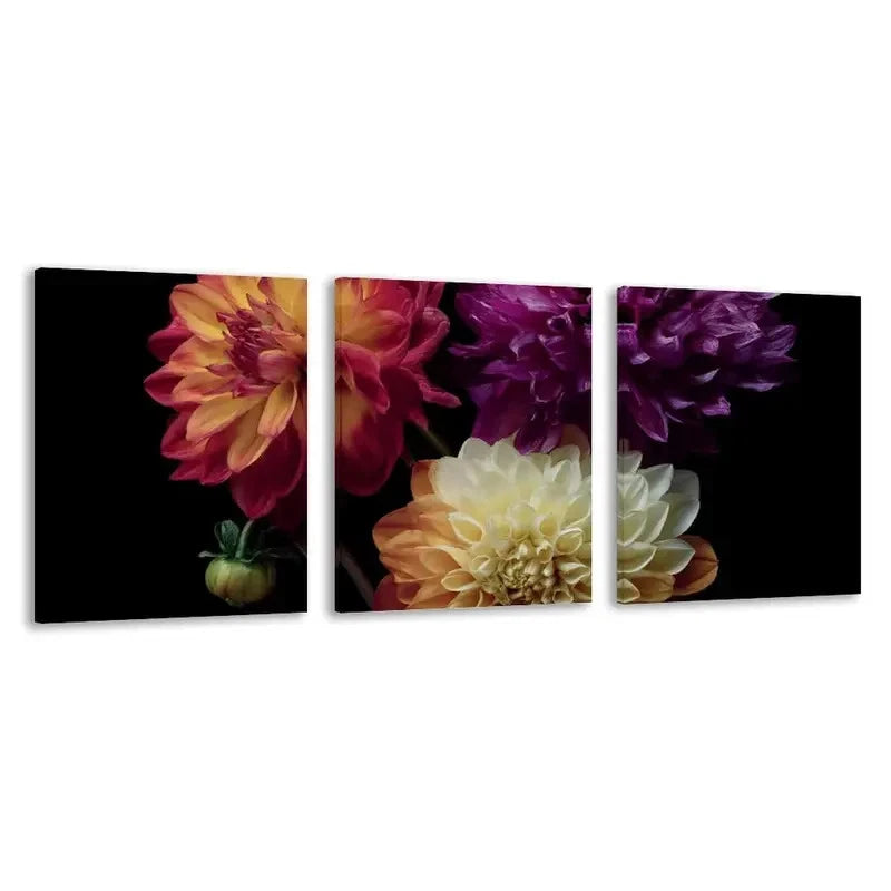 3pcs Modern Dahlia Floral Vibrant Yellow, Pink Wall Art Set Canvas Framed 50x70cm - High Quality Print 100% Australian Made Wall Canvas Ready to Hang