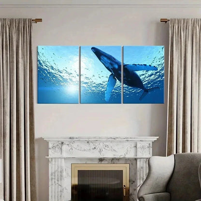 3pcs Sea Life Mammals Whales Modern Wall Art Set Canvas Framed 40x60cm - High Quality Print 100% Australian Made Wall Canvas Ready to Hang