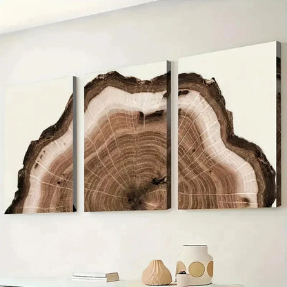 3pcs Tree Ring Decoration Décor Perfect Wall Art Set Canvas Framed 40x60cm - High Quality Print 100% Australian Made Wall Canvas Ready to Hang