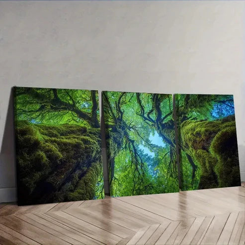 3pcs The Perspective from Within an Old Tree Wall Art Set Canvas Unframed - High Quality Print 100% Australian Made Wall Canvas