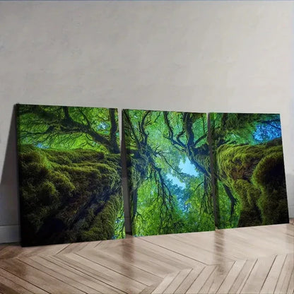 3pcs The Perspective from Within an Old Tree Wall Art Set Canvas Unframed - High Quality Print 100% Australian Made Wall Canvas
