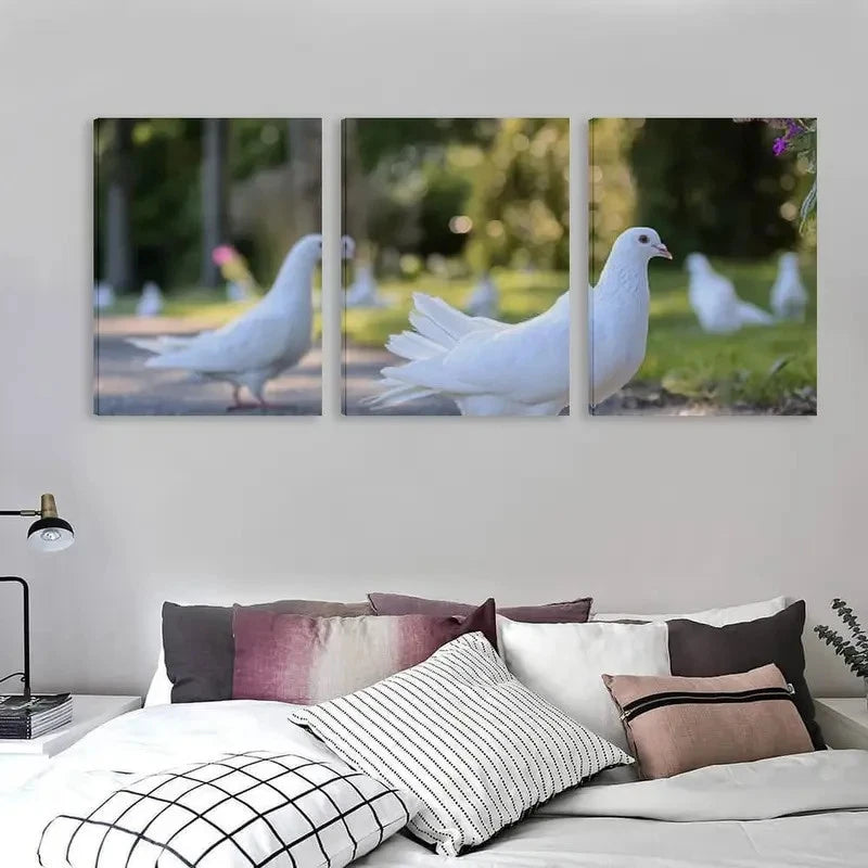 3pcs Elegant Dove Painting with White Doves on Wall Art Set Canvas Framed 50x70cm - High Quality Print 100% Australian Made Wall Canvas Ready to Hang
