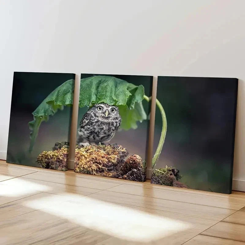 3pcs Bird Art Cute Owl Under a  Leaf Modern Wall Art Set Canvas Framed 40x60cm - High Quality Print 100% Australian Made Wall Canvas Ready to Hang