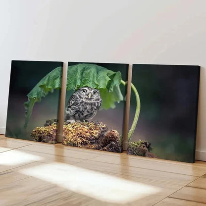 3pcs Bird Art Cute Owl Under a  Leaf Modern Wall Art Set Canvas Framed 40x60cm - High Quality Print 100% Australian Made Wall Canvas Ready to Hang
