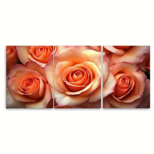 3pcs Peachy Orange Rose Wall Art Set Canvas Unframed - High Quality Print 100% Australian Made Wall Canvas