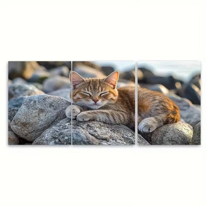 3pcs Seaside Adventure Cat on Rocks Wall Art Set Canvas Framed 60x90cm - High Quality Print 100% Australian Made Wall Canvas Ready to Hang