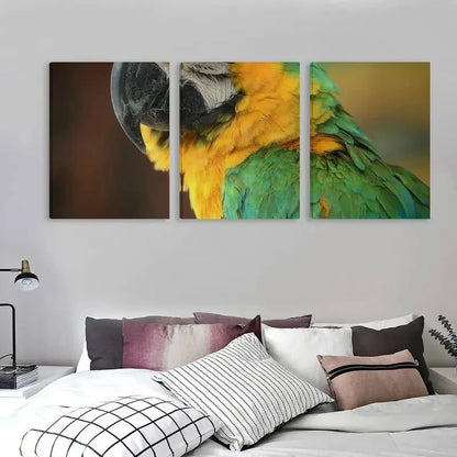 3pcs Vibrant Feathers Of The Green Macaw  Wall Art Set Canvas Framed 60x90cm - High Quality Print 100% Australian Made Wall Canvas Ready to Hang