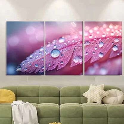 3pcs Raindrop Feather Nature Macro Photography Metal Print Ready to Hang Art